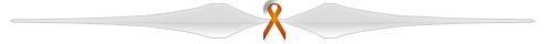 Orange Ribbon Bars-Dividers